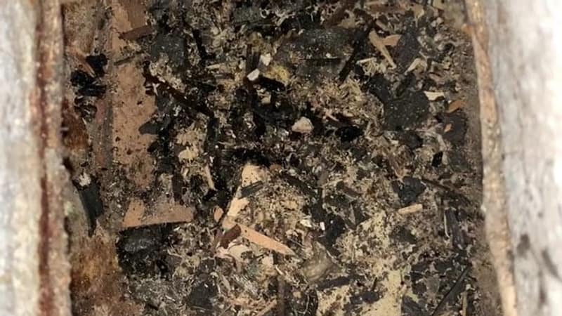 Dark debris, leaves and scraps piled in the bottom of an opened duct run