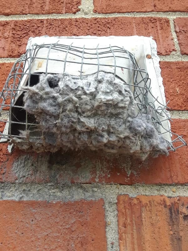 A dryer vent hood on a brick wall with the wire guard and the flap packed solid with grey lint