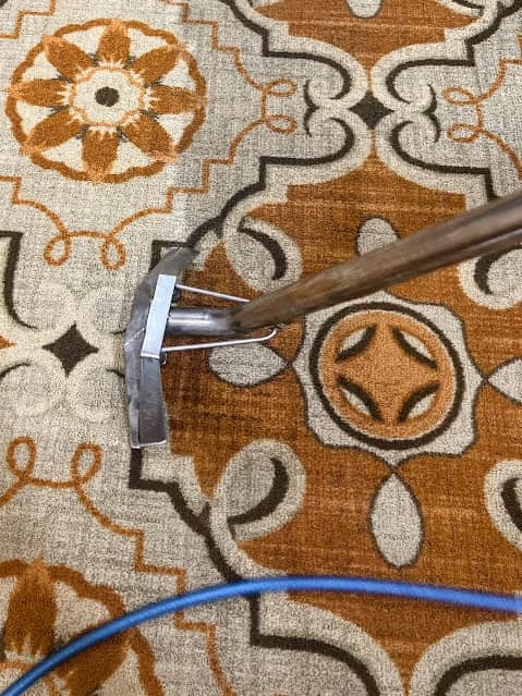 A carpet extraction wand working across a patterned rug, with the blue hose running out of the frame