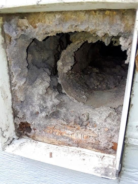 An exterior dryer vent opening in the siding, the duct and the cavity around it packed with lint